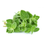 olejek bassau 15 ml - oregano